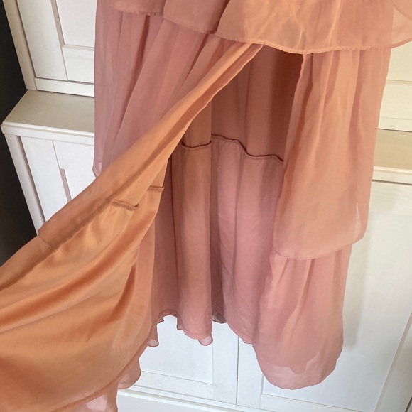 Birdy Grey Chiffon Dusty Rose Dress - Picture 6 of 13